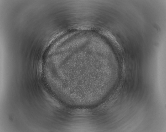 X0000113040202200909241441
