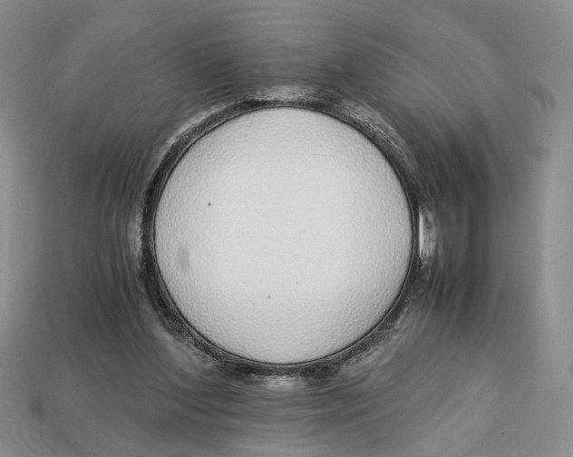 X0000113040204200909241441