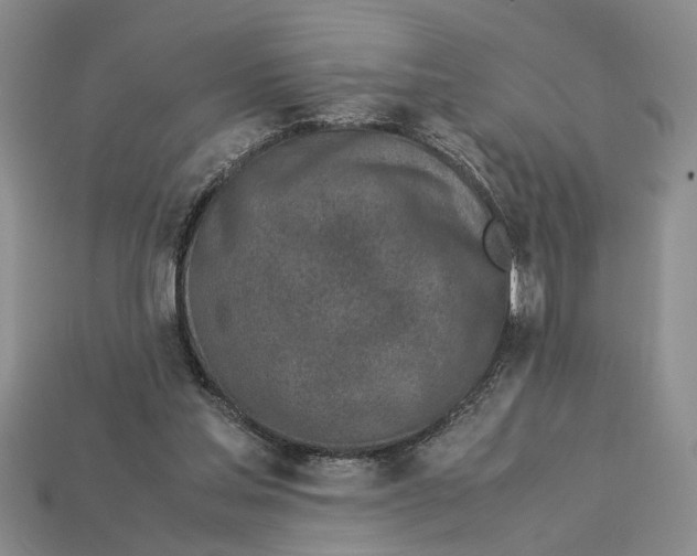 X0000113040205200909241441