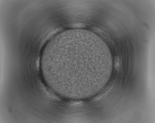 X0000113040206200909241441