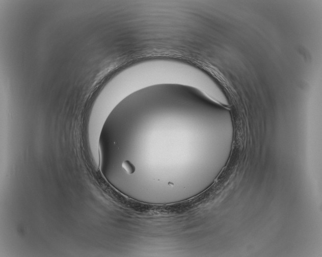 X0000113040207200909241441