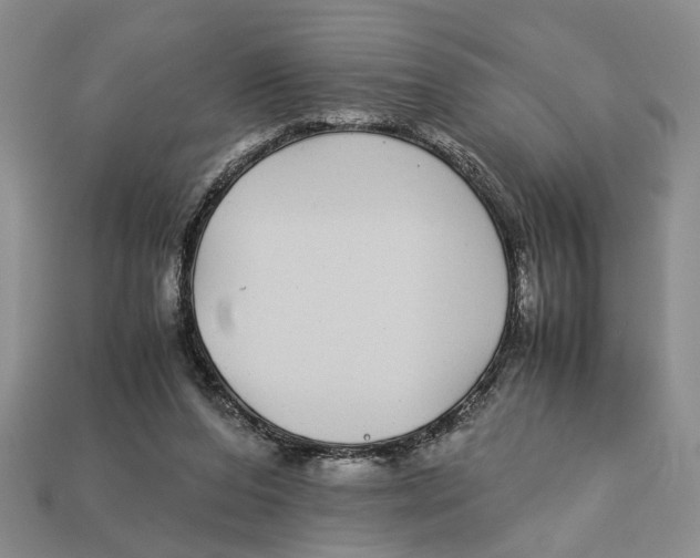 X0000113040208200909241441