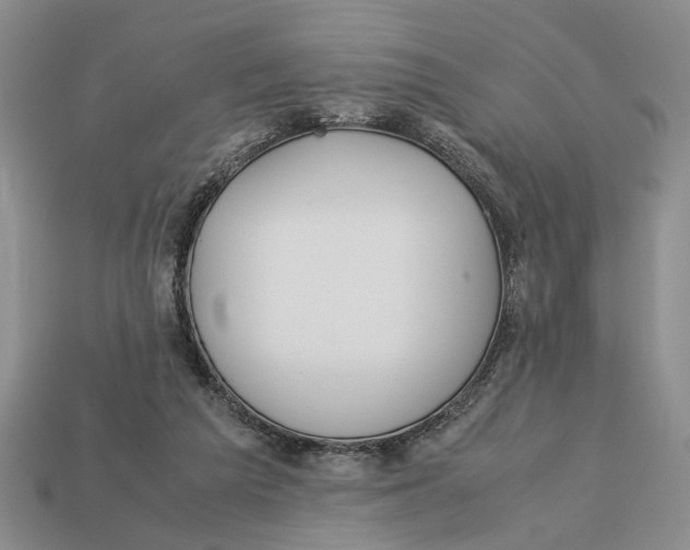 X0000113040209200909241441