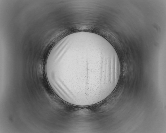 X0000113040210200909241441