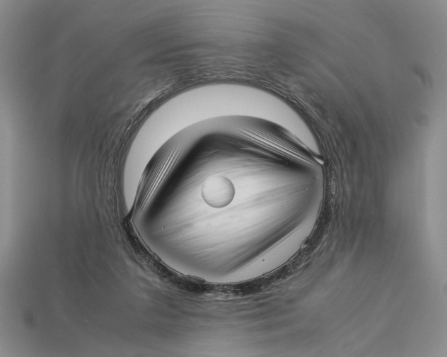 X0000113040211200909241441