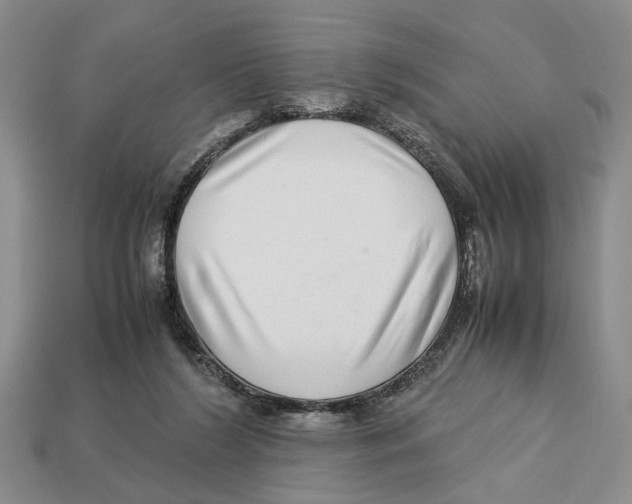 X0000113040212200909241441