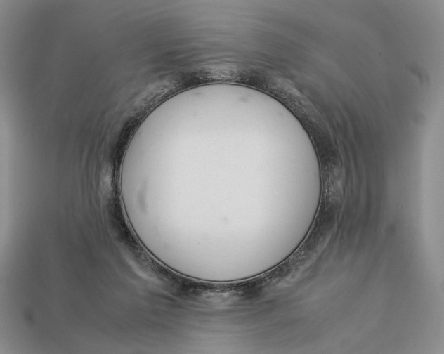 X0000113040213200909241441