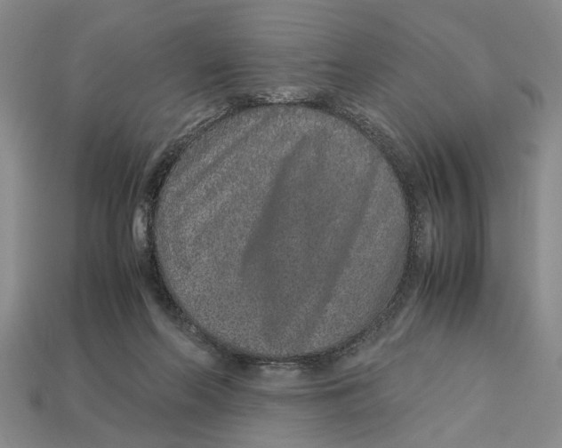 X0000113040214200909241441