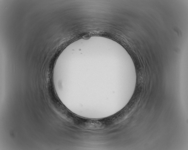 X0000113040215200909241441