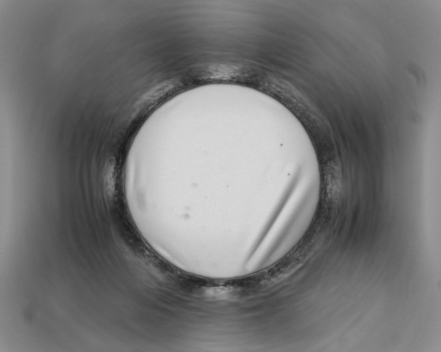 X0000113040216200909241441