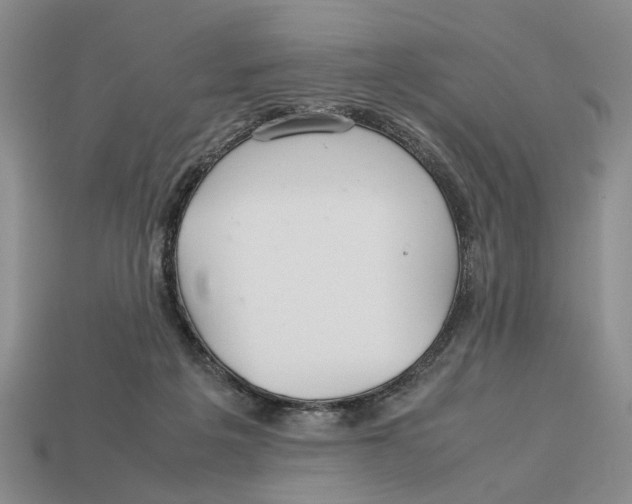 X0000113040217200909241441