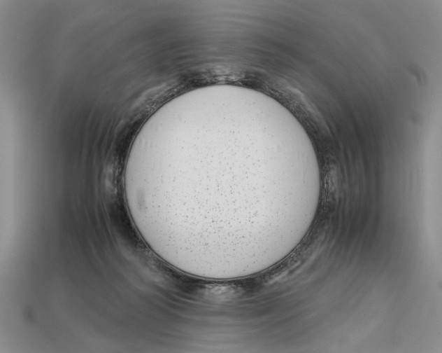 X0000113040218200909241441