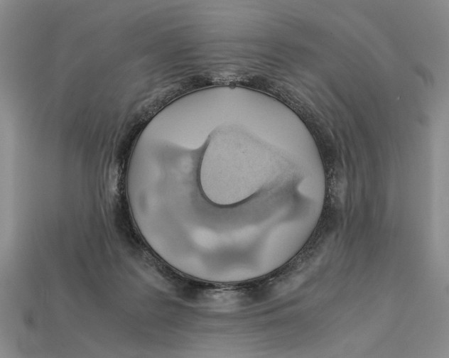 X0000113040219200909241441