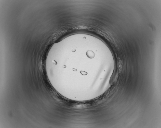 X0000113040220200909241441