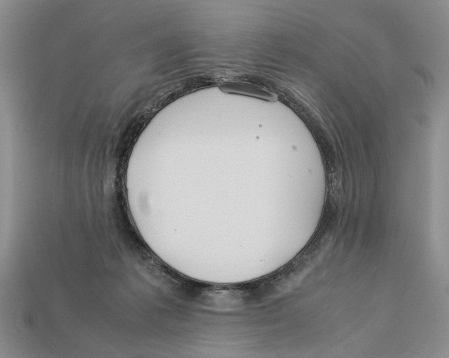 X0000113040221200909241441