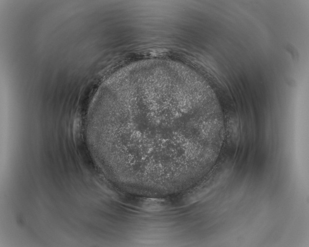 X0000113040222200909241441