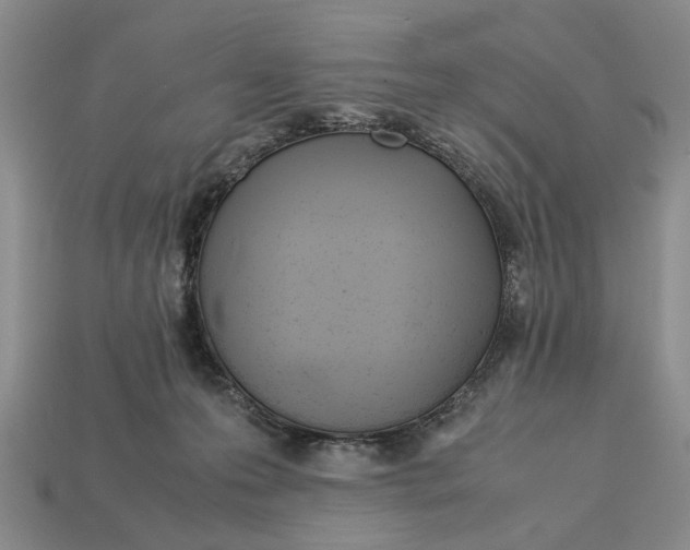 X0000113040223200909241441