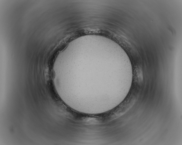 X0000113040224200909241441
