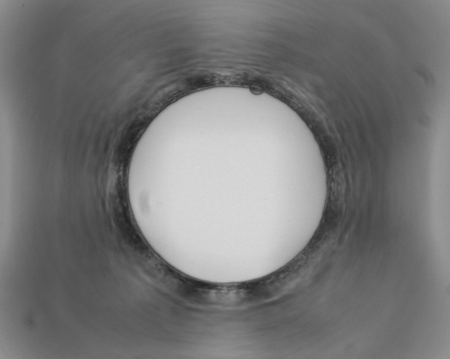 X0000113040225200909241441