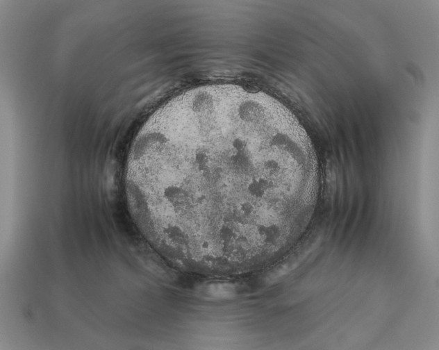 X0000113040228200909241441