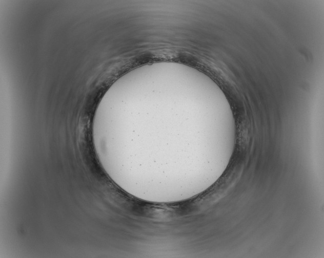 X0000113040229200909241441