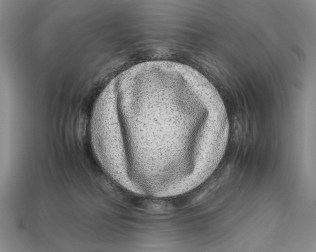X0000113040230200909241441