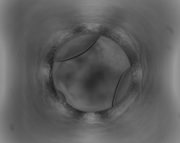 X0000113040231200909241441