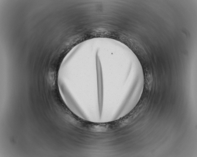 X0000113040232200909241441