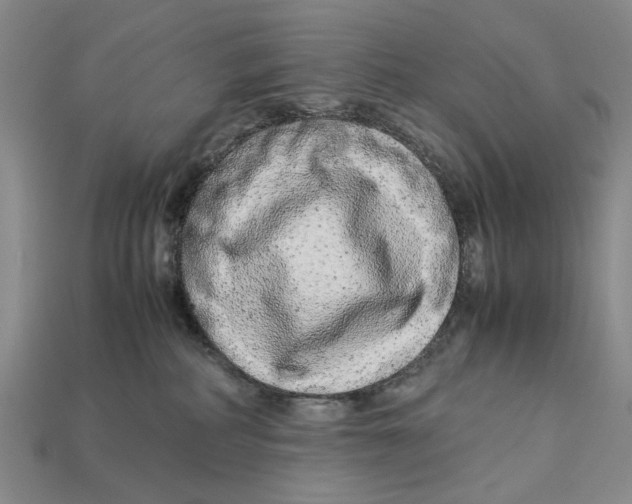 X0000113040234200909241441