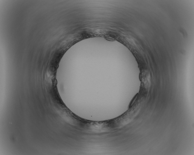 X0000113040235200909241441