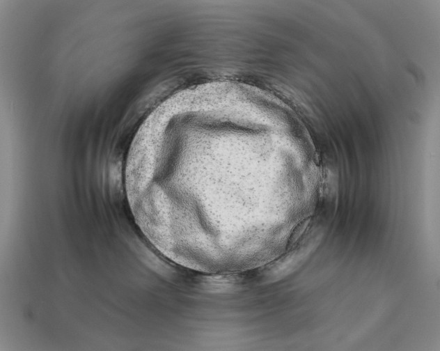 X0000113040238200909241441
