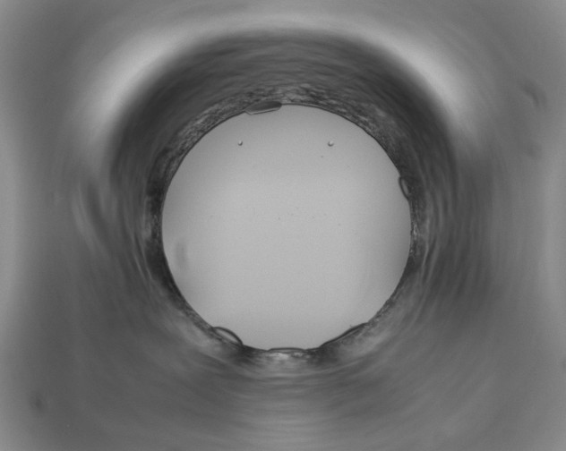 X0000113040239200909241441