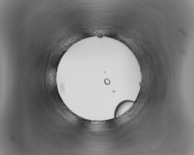 X0000113040240200909241441