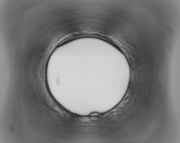 X0000113040241200909241440