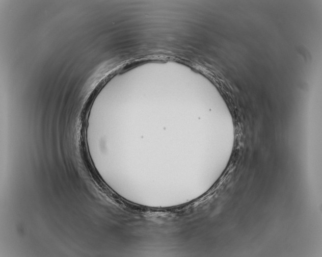 X0000113040242200909241440