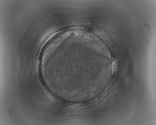 X0000113040243200909241440