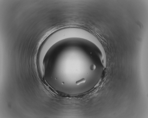 X0000113040244200909241440