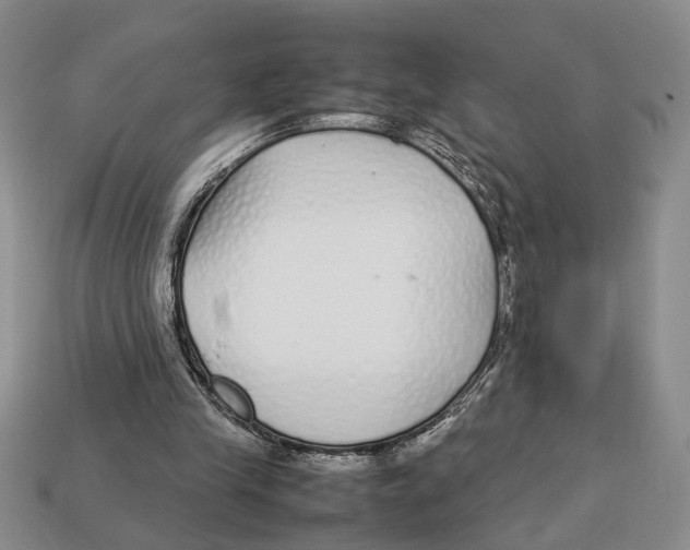 X0000113040245200909241440