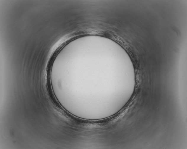 X0000113040246200909241440