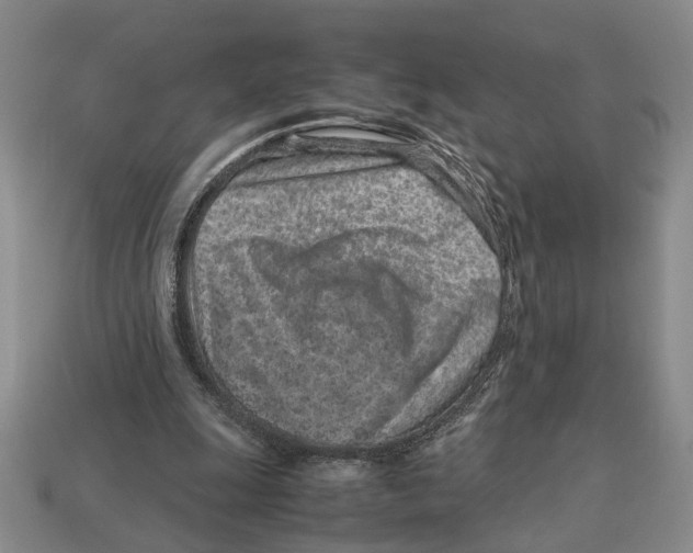 X0000113040247200909241440
