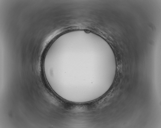 X0000113040248200909241440