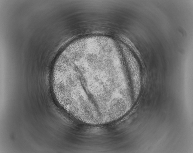 X0000113040249200909241440