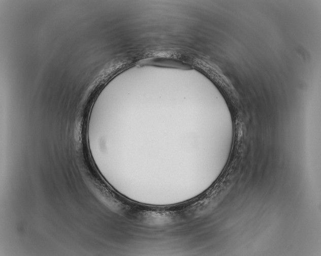 X0000113040250200909241440