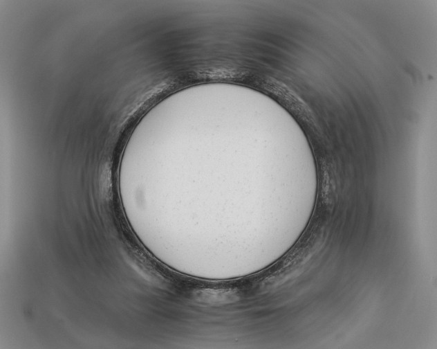 X0000113040251200909241440