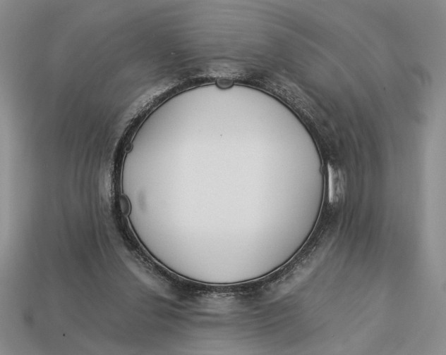 X0000113040252200909241440