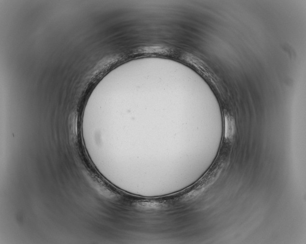 X0000113040253200909241440