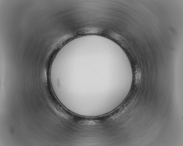 X0000113040254200909241440