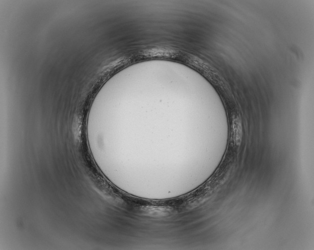 X0000113040255200909241440
