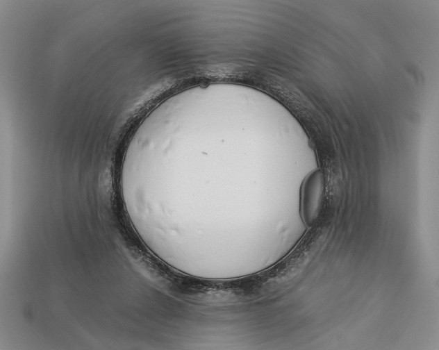 X0000113040256200909241440