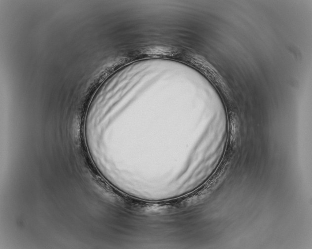 X0000113040257200909241440
